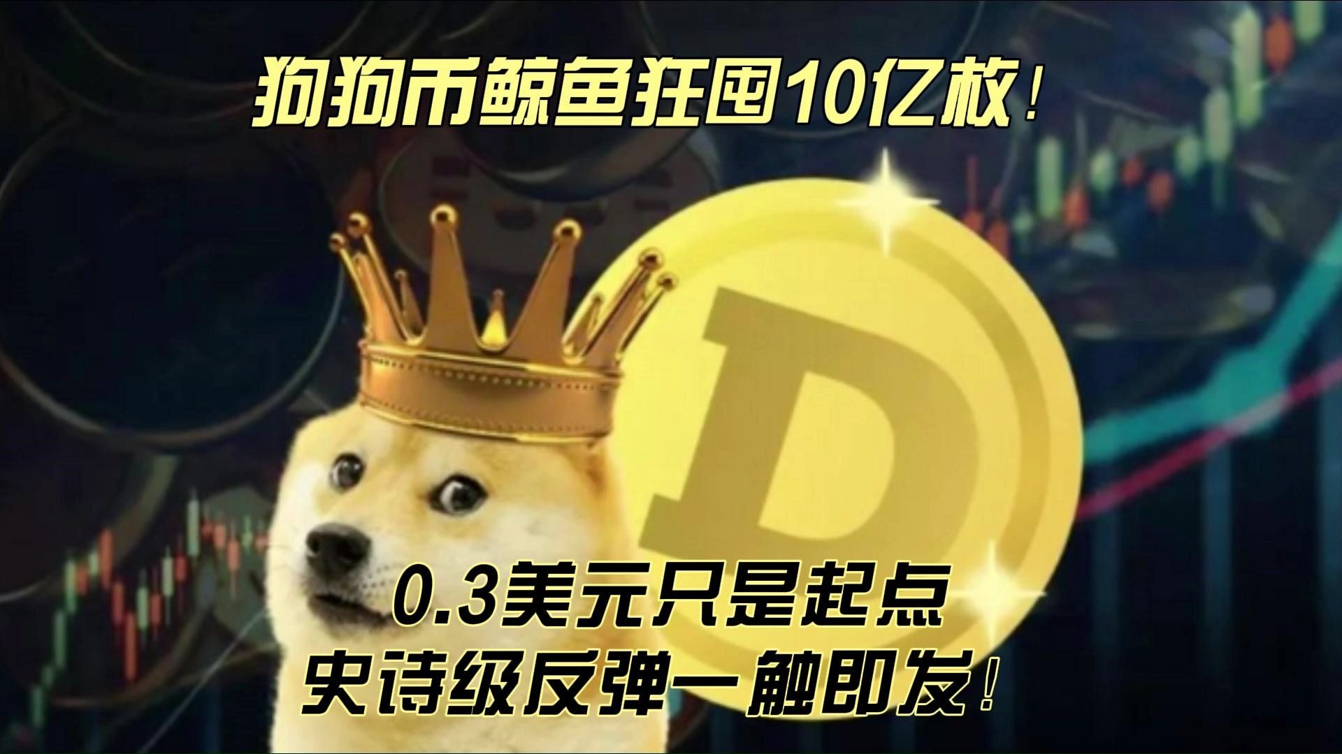 狗狗币创下年内新高，上扬幅高达314%，还能追吗？-九游体育入口