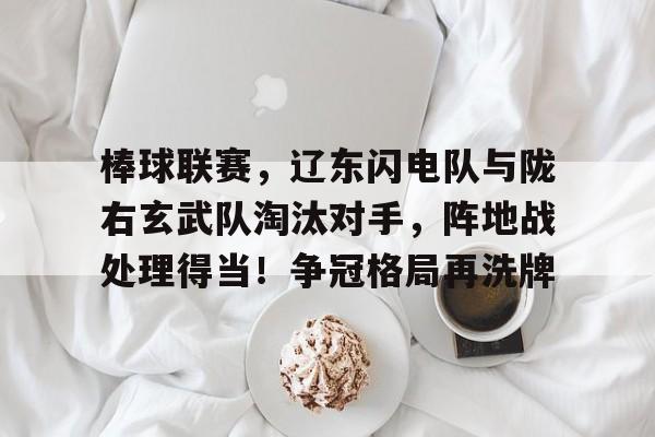棒球联赛，辽东闪电队与陇右玄武队淘汰对手，阵地战处理得当！争冠格局再洗牌-九游体育下载